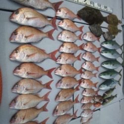 磯部釣船 直栄丸 釣果