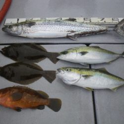 磯部釣船 直栄丸 釣果