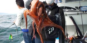 恵比寿丸(兵庫) 釣果