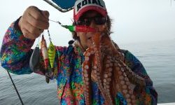 恵比寿丸(兵庫) 釣果