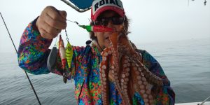 恵比寿丸(兵庫) 釣果