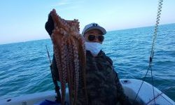 恵比寿丸(兵庫) 釣果