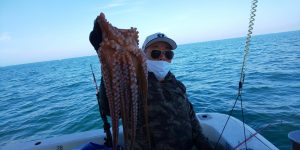 恵比寿丸(兵庫) 釣果