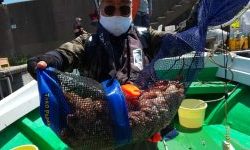 恵比寿丸(兵庫) 釣果