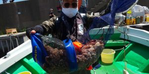 恵比寿丸(兵庫) 釣果