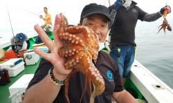 恵比寿丸(兵庫) 釣果