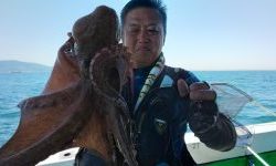 恵比寿丸(兵庫) 釣果