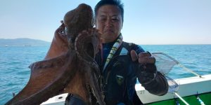 恵比寿丸(兵庫) 釣果