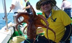 恵比寿丸(兵庫) 釣果