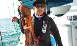 恵比寿丸(兵庫) 釣果