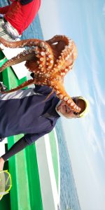 恵比寿丸(兵庫) 釣果