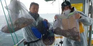 恵比寿丸（兵庫） 釣果