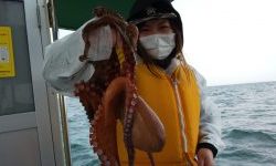 恵比寿丸（兵庫） 釣果