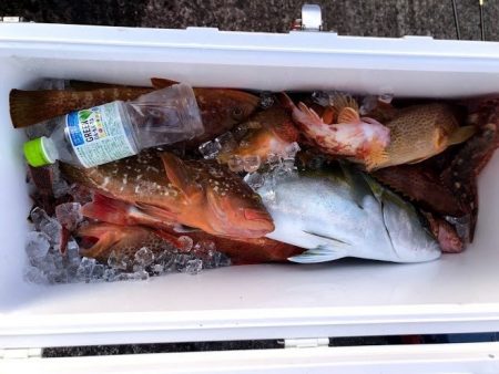 オーシャンズ 京都 釣果