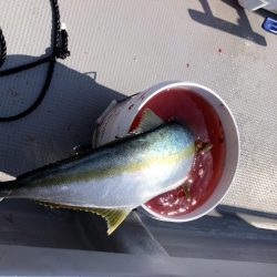 オーシャンズ 京都 釣果