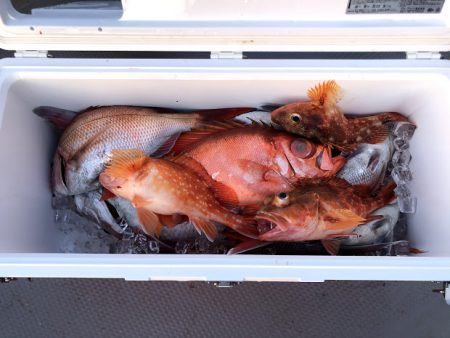 オーシャンズ 京都 釣果