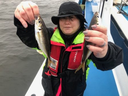 深川 吉野屋 釣果