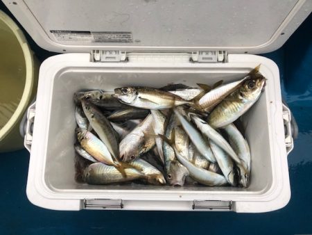 深川 吉野屋 釣果