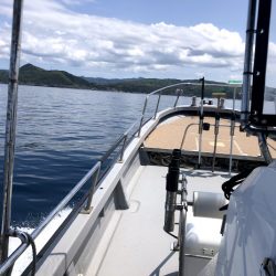 オーシャンズ 京都 釣果