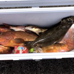 オーシャンズ 京都 釣果