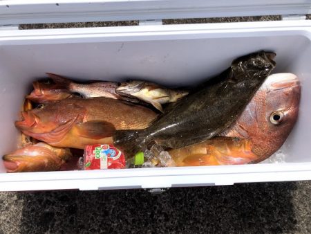 オーシャンズ 京都 釣果