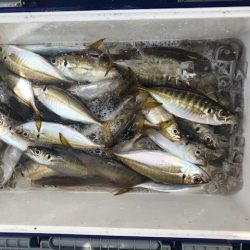 深川 吉野屋 釣果