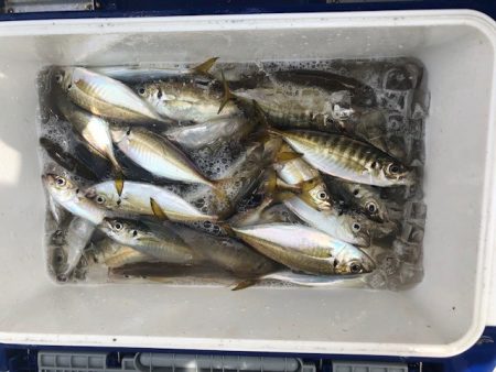 深川 吉野屋 釣果