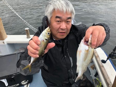 深川　吉野屋 釣果