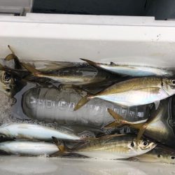 深川　吉野屋 釣果