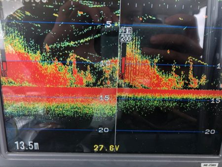 深川 吉野屋 釣果