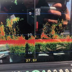 深川 吉野屋 釣果