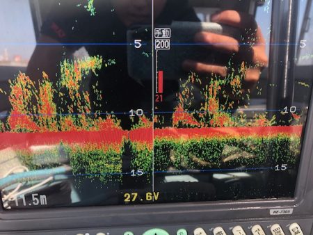 深川 吉野屋 釣果