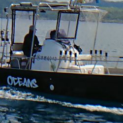 オーシャンズ 京都 釣果