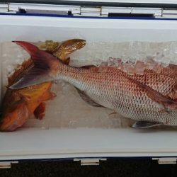 オーシャンズ 京都 釣果