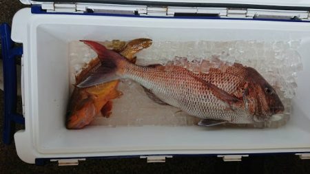 オーシャンズ 京都 釣果