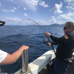 オーシャンズ 京都 釣果