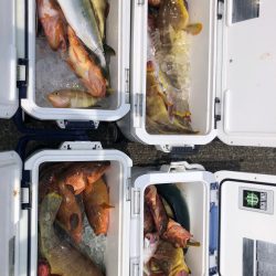 オーシャンズ 京都 釣果