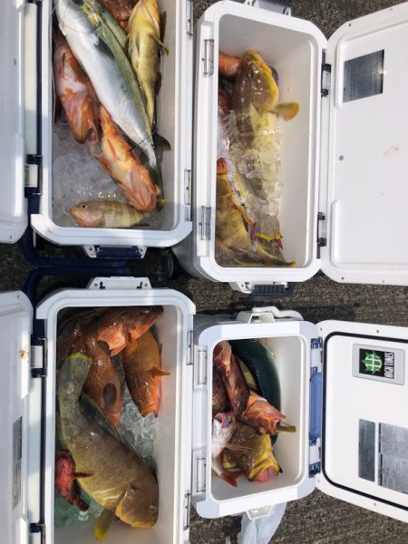 オーシャンズ 京都 釣果