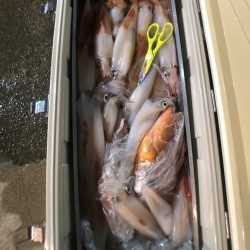 オーシャンズ　京都 釣果