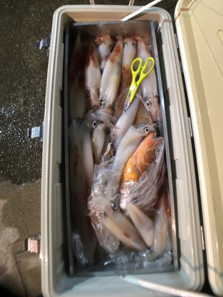 オーシャンズ　京都 釣果