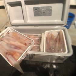 オーシャンズ　京都 釣果