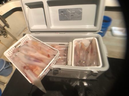 オーシャンズ　京都 釣果