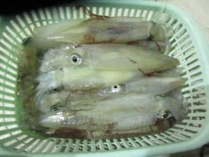 兼六丸 釣果