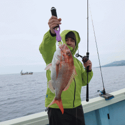 はらまる 釣果