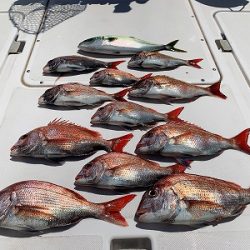 フィシングボートAir(エアー) 釣果