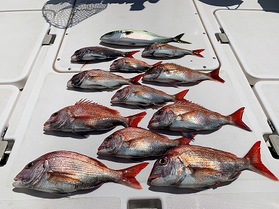 フィシングボートAir(エアー) 釣果