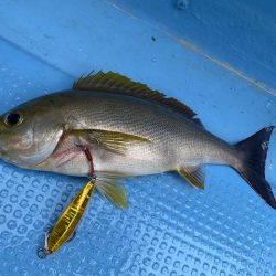 三吉丸 釣果
