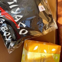 フィシングボートAir(エアー) 釣果