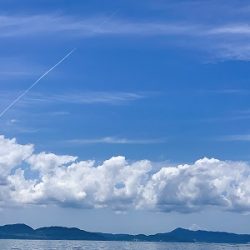 フィシングボートAir(エアー) 釣果