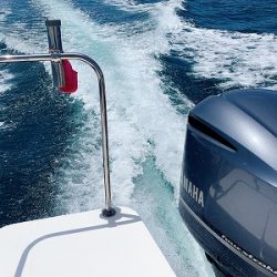 フィシングボートAir(エアー) 釣果